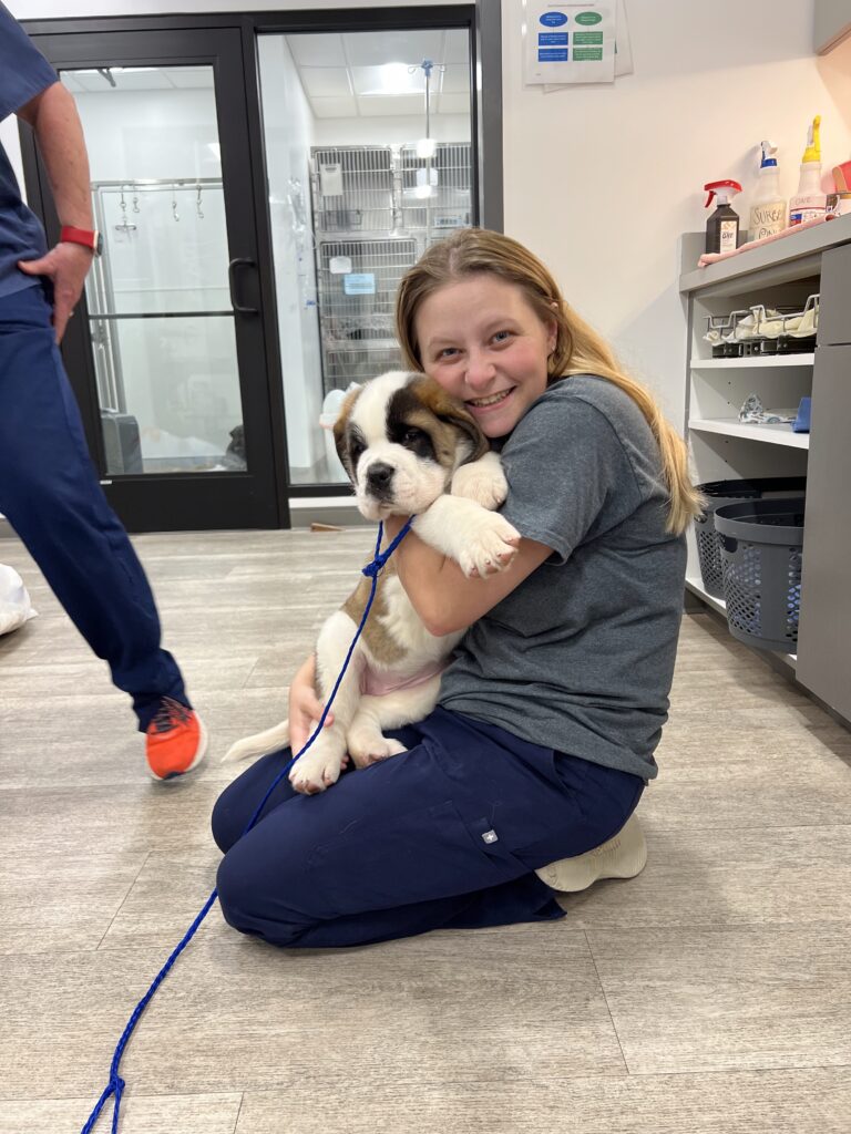 Belle Meade Lead Vet Technician Lydia on floor smiling in blue scrubs holding St. Bernard Puppy.